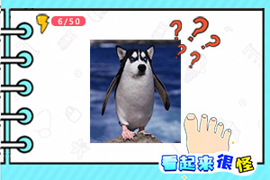 beplayapp下载登录·官方网站