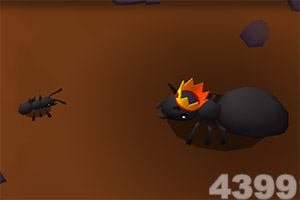 今晚2码出特截图