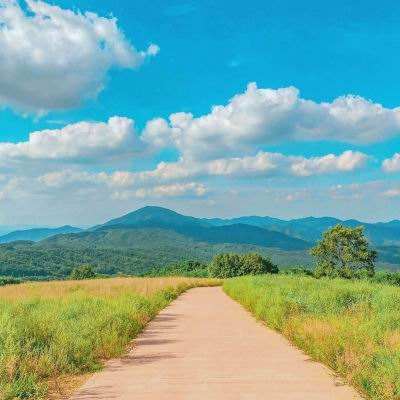 南宫体育app下载安装app下载截图