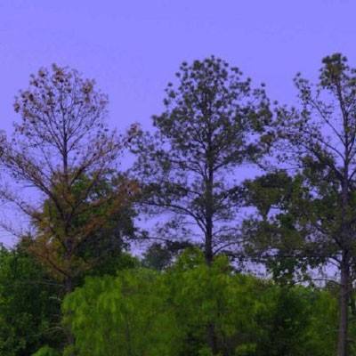 皇冠综合体育官方app下载