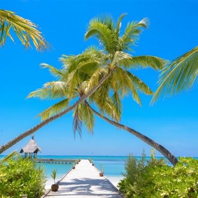 安博体育的最新版本