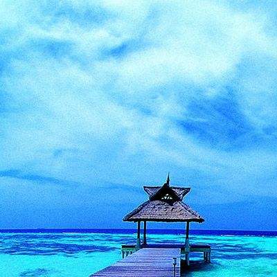 998娱乐彩票安卓APP截图