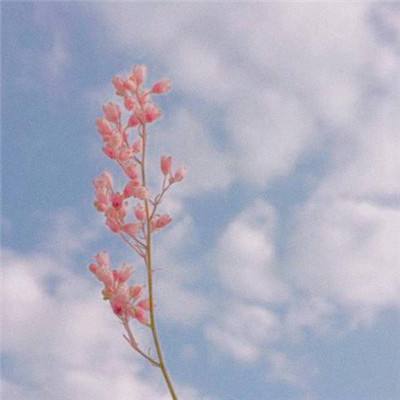 天博体育官网入口