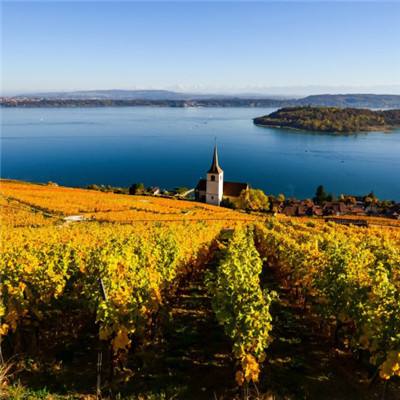 十一选五软件下载安装截图