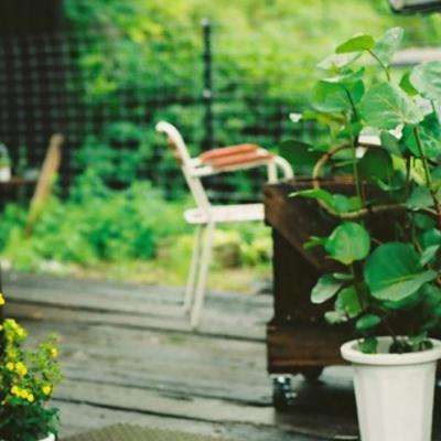 大发黄金版app下载app下载