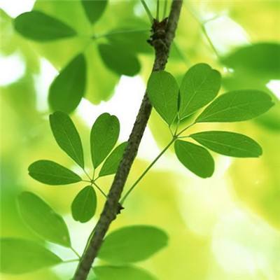 南宫体育app下载安装app下载