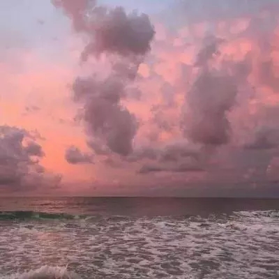 万博(ManBetx)下载手机版