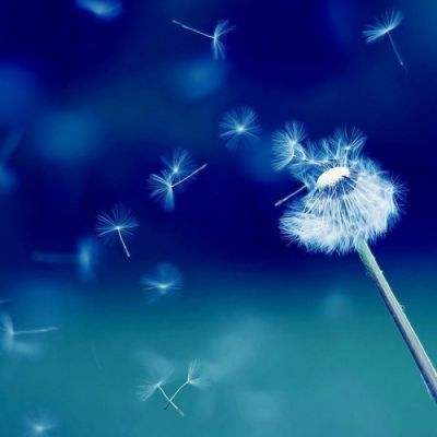 星空体育APPapp下载截图