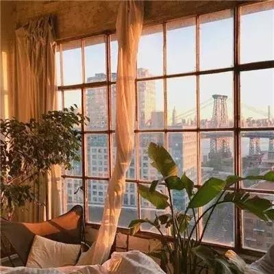 乐鱼app官方下载入口截图