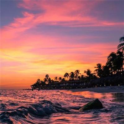 大众彩票入口welcome手机app下载