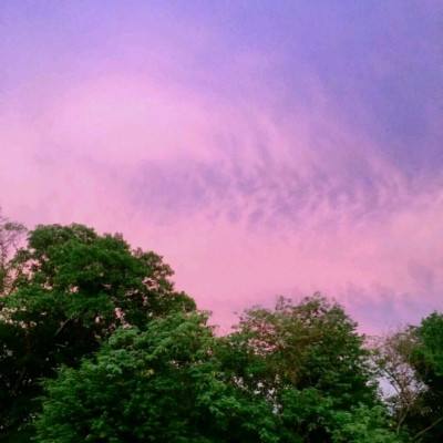 乐鱼APPapp下载截图