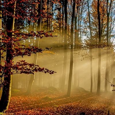 星空下载站官网手机app下载