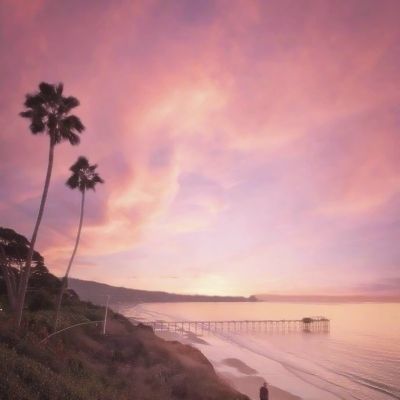 巴博体育官网安卓下载