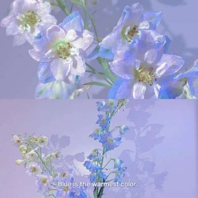 365体育亚洲官方入口app下载