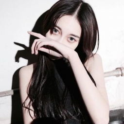 火狐体育APP手机app下载