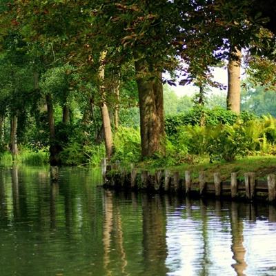 鸭脖体育app官网下载官方版