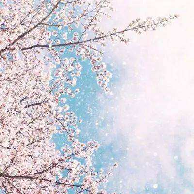 火狐官方网站下载手机版