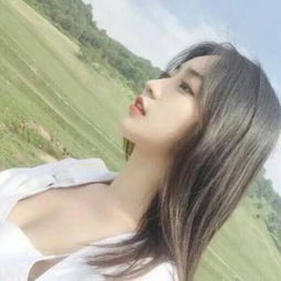 半岛官网入口网页版app下载