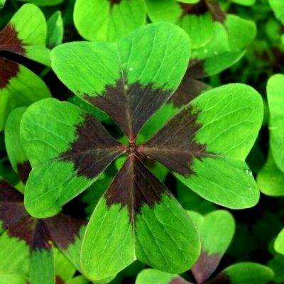 万博最新ManBetX网页版登录