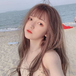 加拿大pc入口手机app下载