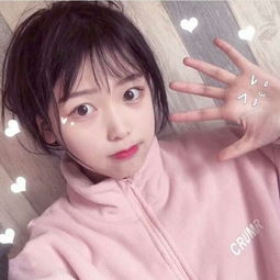 金星棋牌手机app下载