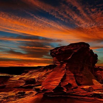 博鱼中国体育官网登录