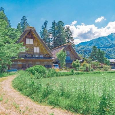 leyu·乐鱼体育下载手机版