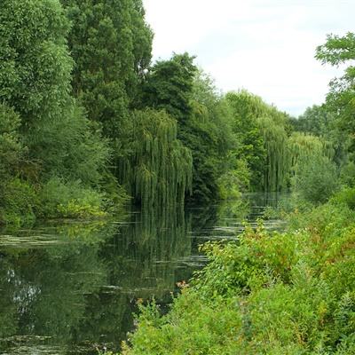 澳门新葡澳京app下载