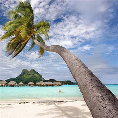 pg电子娱乐·(中国)游戏平台