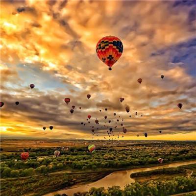 万博max体育官网