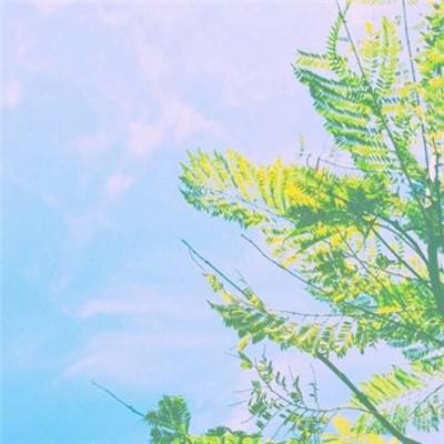 kok最新客户端下载手机版