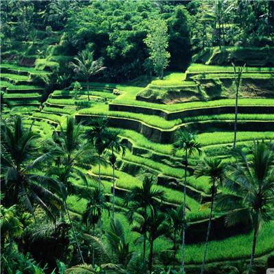 天博官方app下载旧版本