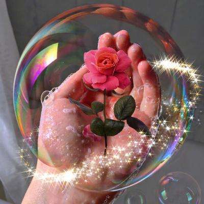 亚新手机版官方登录网站