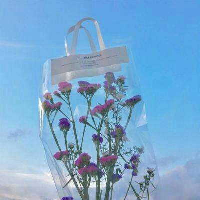 星力正版捕鱼手机app下载