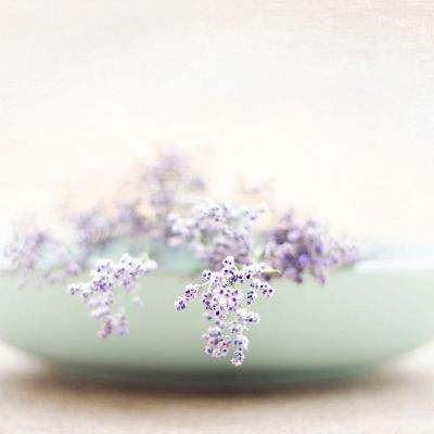 金博宝官网手机app下载