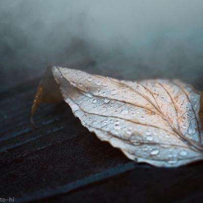 江南网页入口官方正版