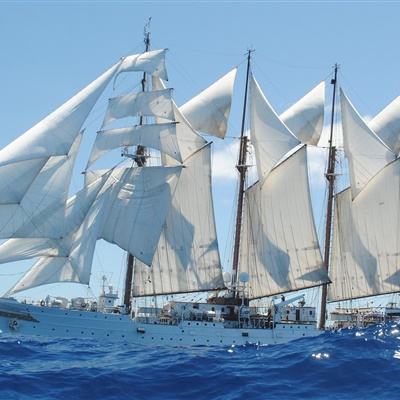 乐鱼app(中国体育)官方网站app下载