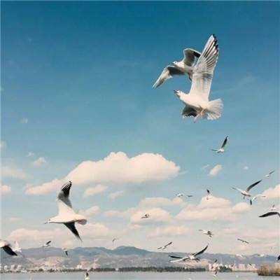 leyu·乐鱼(中国)体育下载手机版