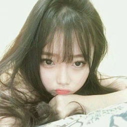 im电竞·(中国)官方网站截图