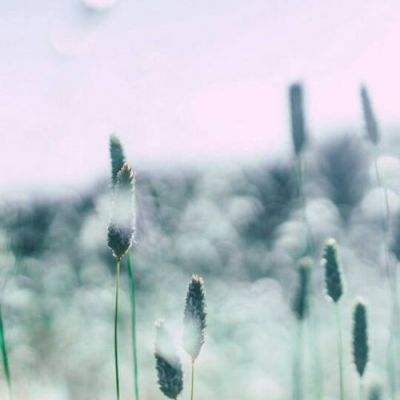 爱体育官方app手机app下载