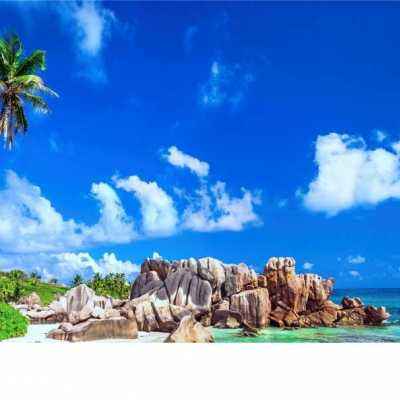 三亿体育app平台