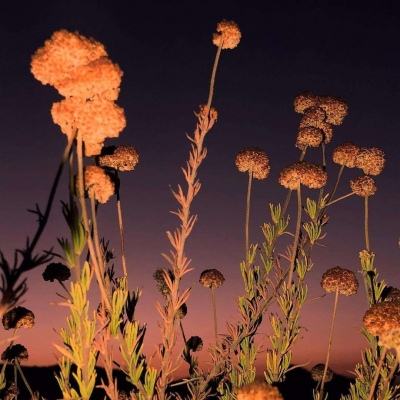 bb贝博官方平台下载