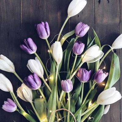 NG体育APP官方下载网址手机app下载