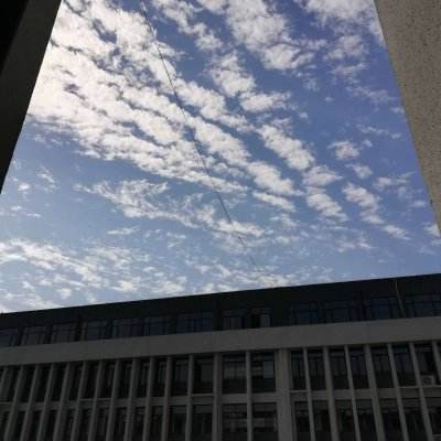 pg麻将胡了网站