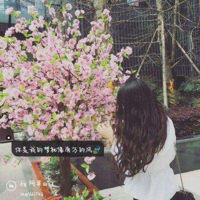 安博体育的最新版本