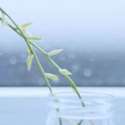 博鱼APP官方网站