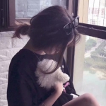 开全站登录app手机app下载