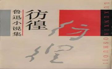 彷徨的读后感600字6篇
