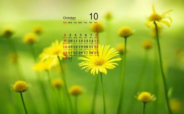 10月份幼儿工作总结8篇