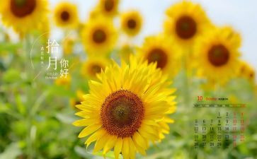 10月演讲稿5篇